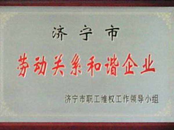 市級勞動關系和諧企業(yè).jpg